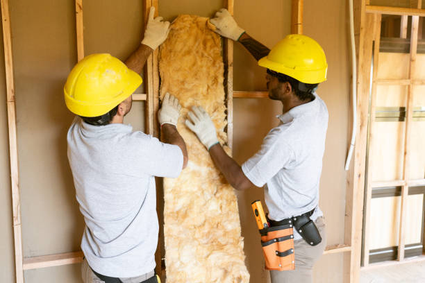 Professional Insulation Services in Rainbow City, AL